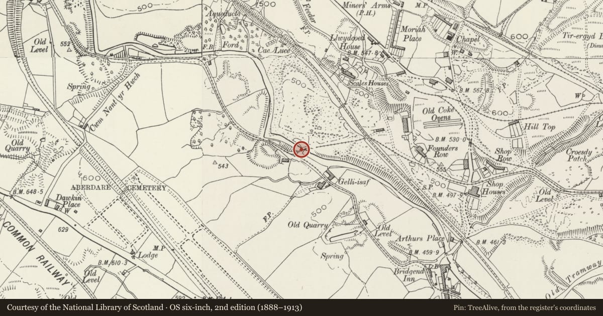 Ordnance Survey six-inch map, 2nd edition (1888–1913) covering the location of Llwydcoed Tramroad Bridge, Aberdare West, Rhondda Cynon Taff, with a pin at the register's coordinates