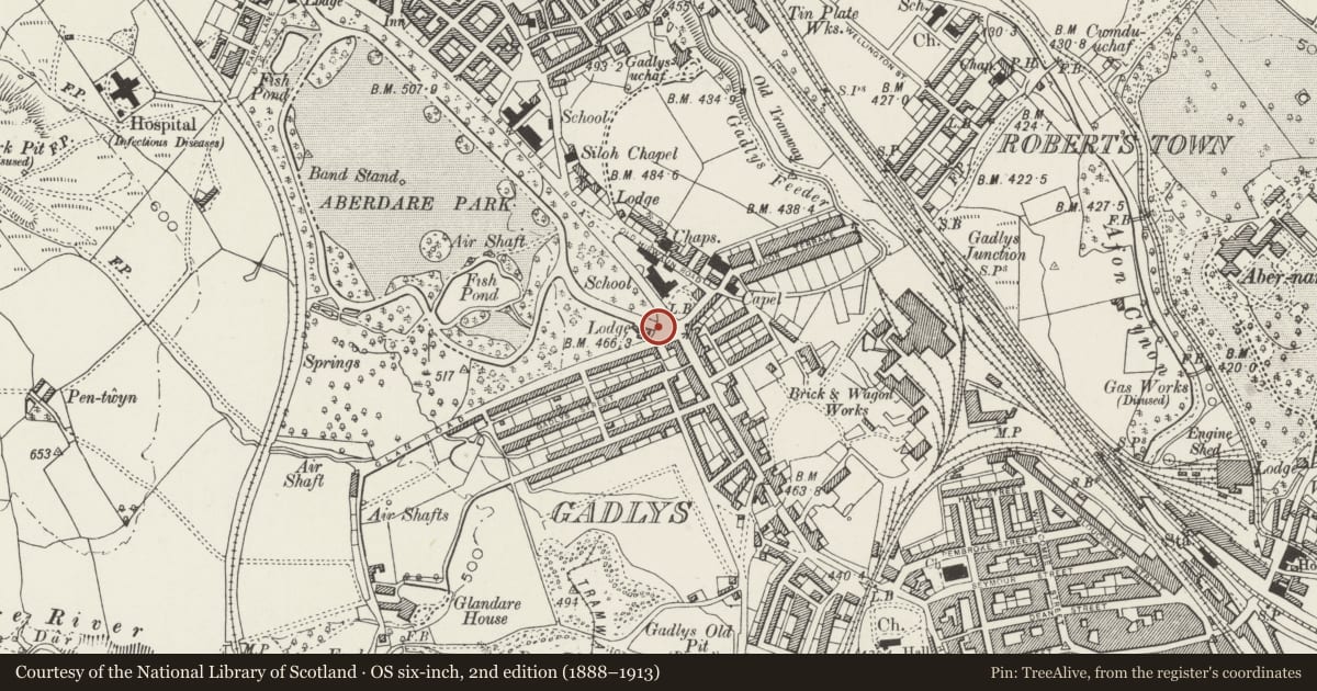 Ordnance Survey six-inch map, 2nd edition (1888–1913) covering the location of Gates & Gate Piers, including Flanking Railings at SE (Main) Entrance to Aberdare Park, Aberdare West, Rhondda Cynon Taff, with a pin at the register's coordinates
