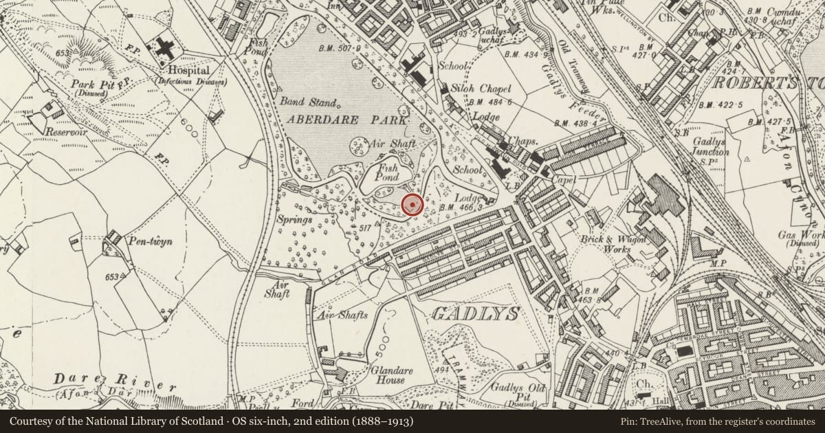 Ordnance Survey six-inch map, 2nd edition (1888–1913) covering the location of Fountain in Aberdare Park, Aberdare West, Rhondda Cynon Taff, with a pin at the register's coordinates