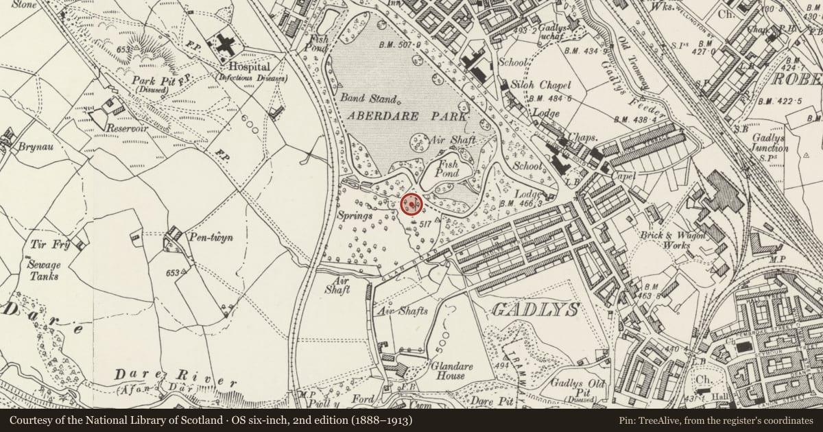 Ordnance Survey six-inch map, 2nd edition (1888–1913) covering the location of Bandstand in Aberdare Park, Aberdare West, Rhondda Cynon Taff, with a pin at the register's coordinates