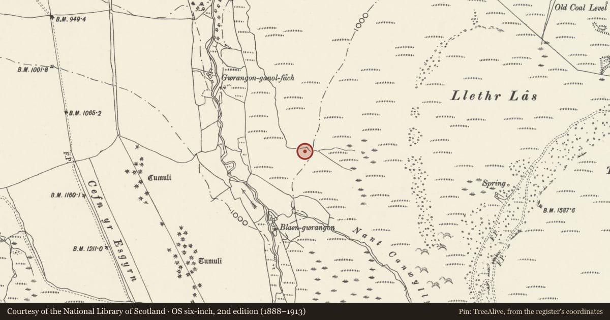 Ordnance Survey six-inch map, 2nd edition (1888–1913) covering the location of Engine House and Fan House at Tower Colliery, Rhigos, Rhondda Cynon Taff, with a pin at the register's coordinates