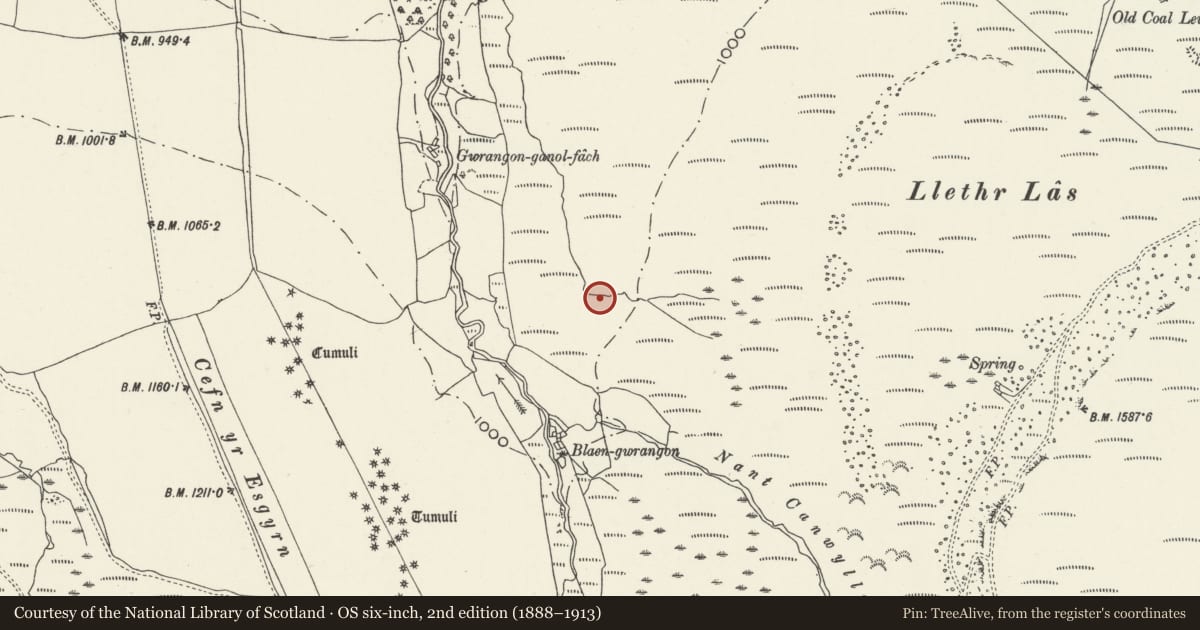Ordnance Survey six-inch map, 2nd edition (1888–1913) covering the location of Headframe and pithead at Tower Colliery, Rhigos, Rhondda Cynon Taff, with a pin at the register's coordinates