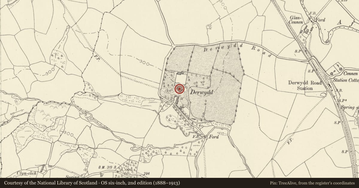 Ordnance Survey six-inch map, 2nd edition (1888–1913) covering the location of Derwydd Mansion, Llandybie, Carmarthenshire, with a pin at the register's coordinates