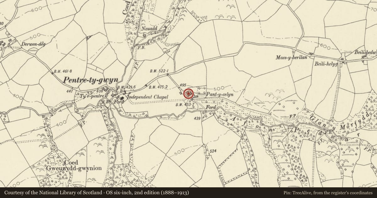 Ordnance Survey six-inch map, 2nd edition (1888–1913) covering the location of Pantycelyn Farmhouse, Llanfair-ar-y-Bryn, Carmarthenshire, with a pin at the register's coordinates