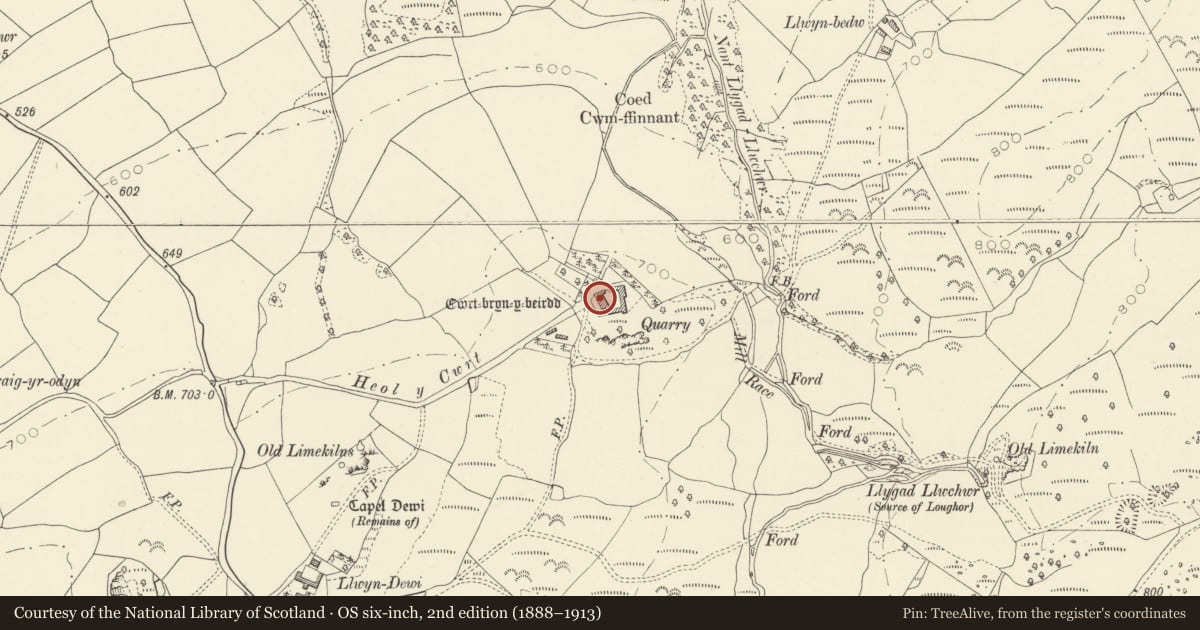 Ordnance Survey six-inch map, 2nd edition (1888–1913) covering the location of Cwrt Bryn y Beirdd, Dyffryn Cennen, Carmarthenshire, with a pin at the register's coordinates