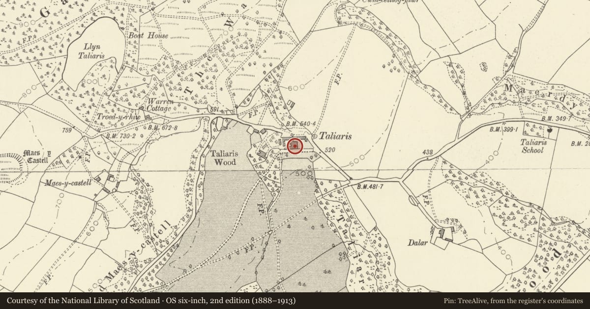 Ordnance Survey six-inch map, 2nd edition (1888–1913) covering the location of Plas Taliaris, Manordeilo and Salem, Carmarthenshire, with a pin at the register's coordinates
