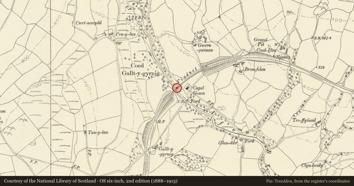 Ordnance Survey six-inch map, 2nd edition (1888–1913) covering the location of Cynghordy Viaduct, Llanfair-ar-y-Bryn, Carmarthenshire, with a pin at the register's coordinates