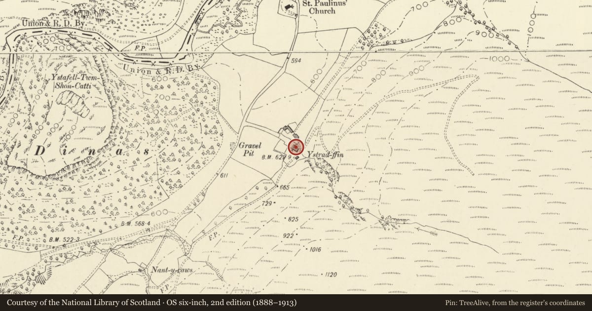 Ordnance Survey six-inch map, 2nd edition (1888–1913) covering the location of Ystradffin, Llanfair-ar-y-Bryn, Carmarthenshire, with a pin at the register's coordinates
