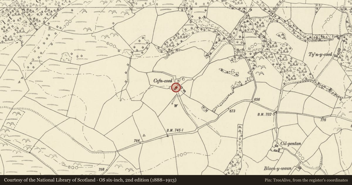 Ordnance Survey six-inch map, 2nd edition (1888–1913) covering the location of Cefncoed, Llanfair-ar-y-Bryn, Carmarthenshire, with a pin at the register's coordinates