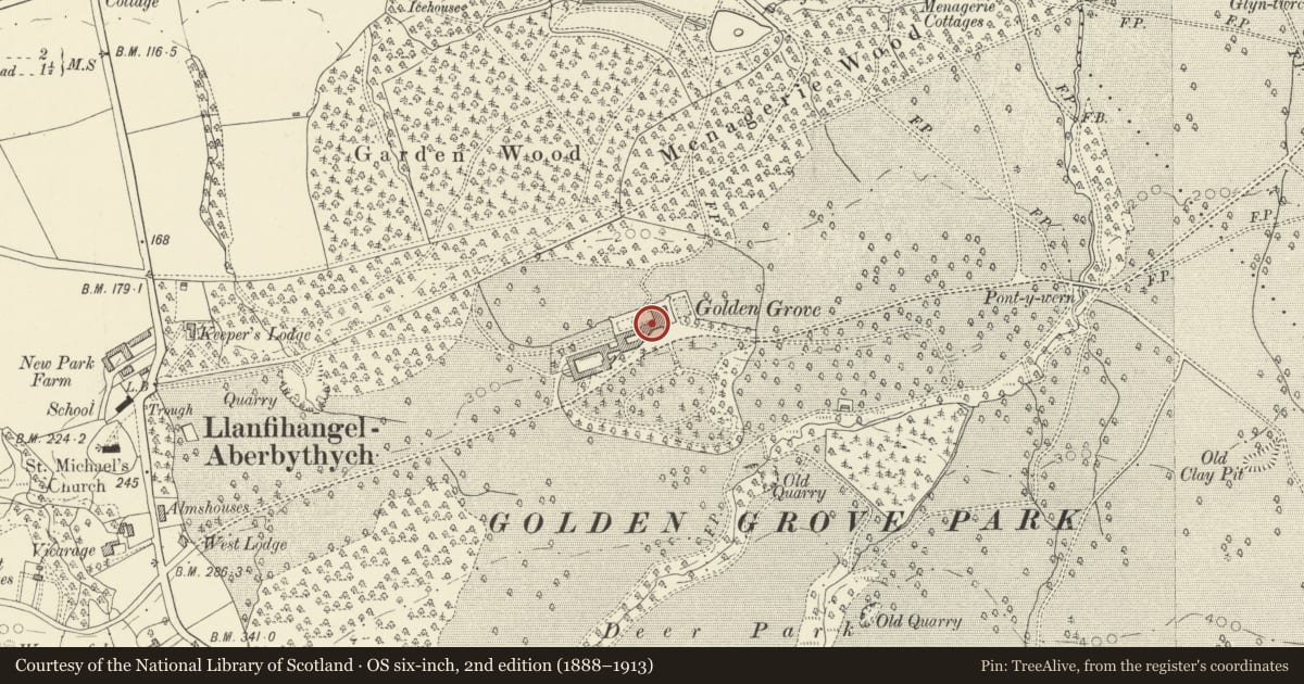 Ordnance Survey six-inch map, 2nd edition (1888–1913) covering the location of Golden Grove Mansion, Llanfihangel Aberbythych, Carmarthenshire, with a pin at the register's coordinates