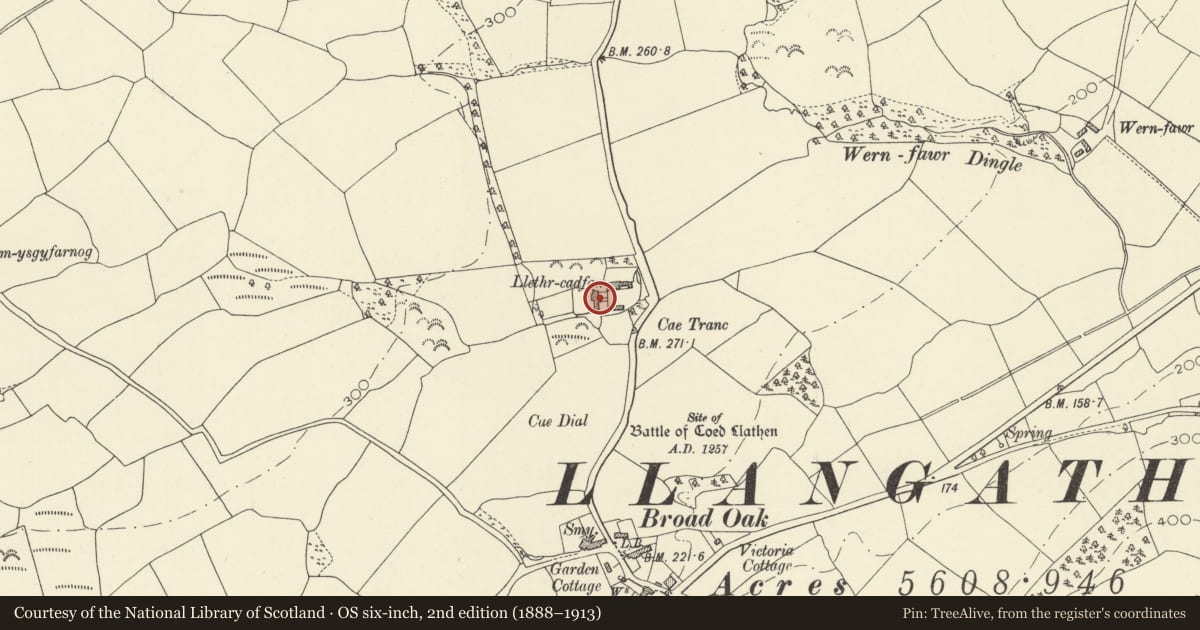 Ordnance Survey six-inch map, 2nd edition (1888–1913) covering the location of Llethr Cadfan Farmhouse including former 'granary' building, Llangathen, Carmarthenshire, with a pin at the register's coordinates