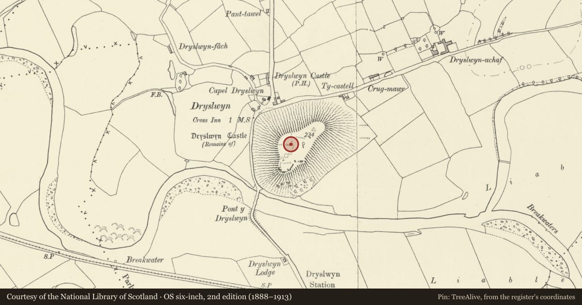 Ordnance Survey six-inch map, 2nd edition (1888–1913) covering the location of Dryslwyn Castle, Llangathen, Carmarthenshire, with a pin at the register's coordinates