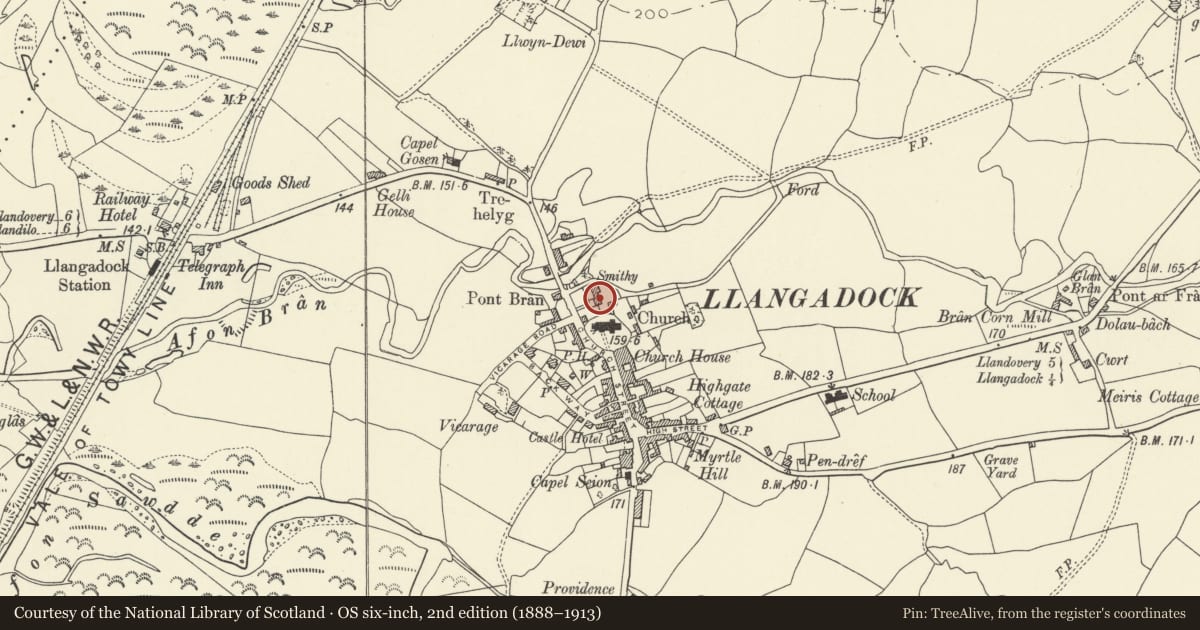 Ordnance Survey six-inch map, 2nd edition (1888–1913) covering the location of Cwrt-y-plas, Llangadog, Carmarthenshire, with a pin at the register's coordinates