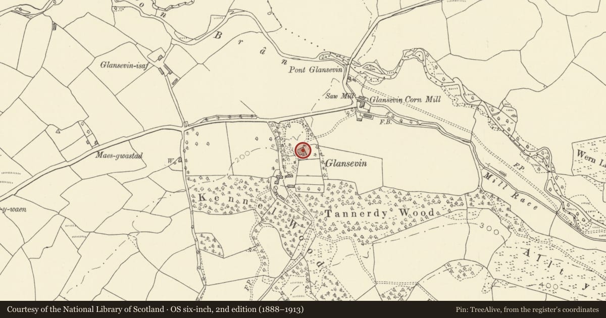 Ordnance Survey six-inch map, 2nd edition (1888–1913) covering the location of Plas Glansevin, Llangadog, Carmarthenshire, with a pin at the register's coordinates