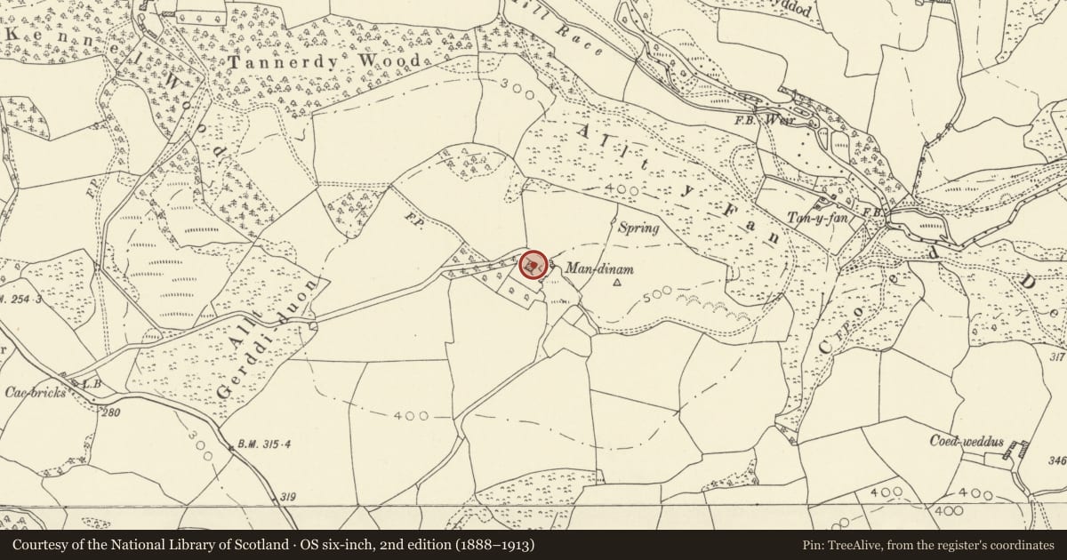 Ordnance Survey six-inch map, 2nd edition (1888–1913) covering the location of Mandinam, Llangadog, Carmarthenshire, with a pin at the register's coordinates