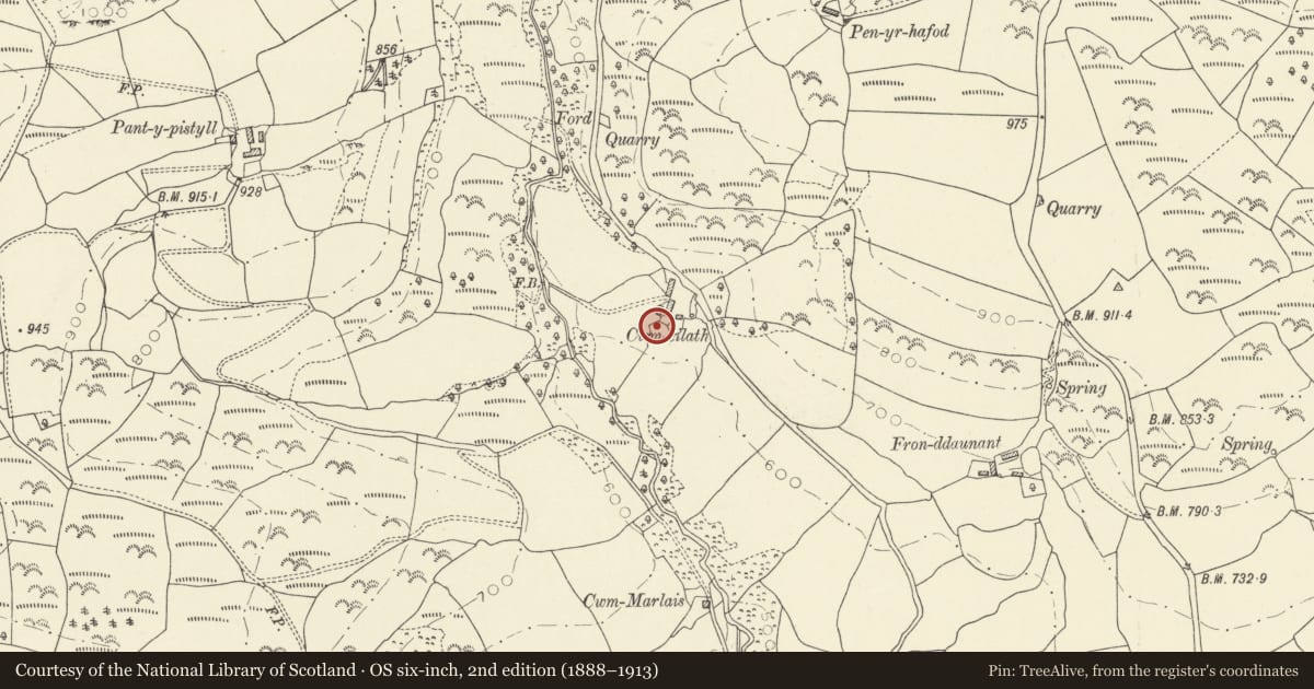 Ordnance Survey six-inch map, 2nd edition (1888–1913) covering the location of Cwm-eilath Farmhouse, Llansadwrn, Carmarthenshire, with a pin at the register's coordinates