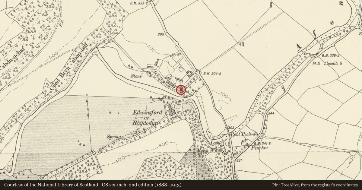 Ordnance Survey six-inch map, 2nd edition (1888–1913) covering the location of The Dairy, Llansawel, Carmarthenshire, with a pin at the register's coordinates