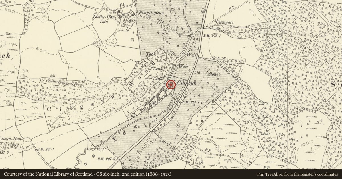 Ordnance Survey six-inch map, 2nd edition (1888–1913) covering the location of Cilgwyn Manor, Myddfai, Carmarthenshire, with a pin at the register's coordinates