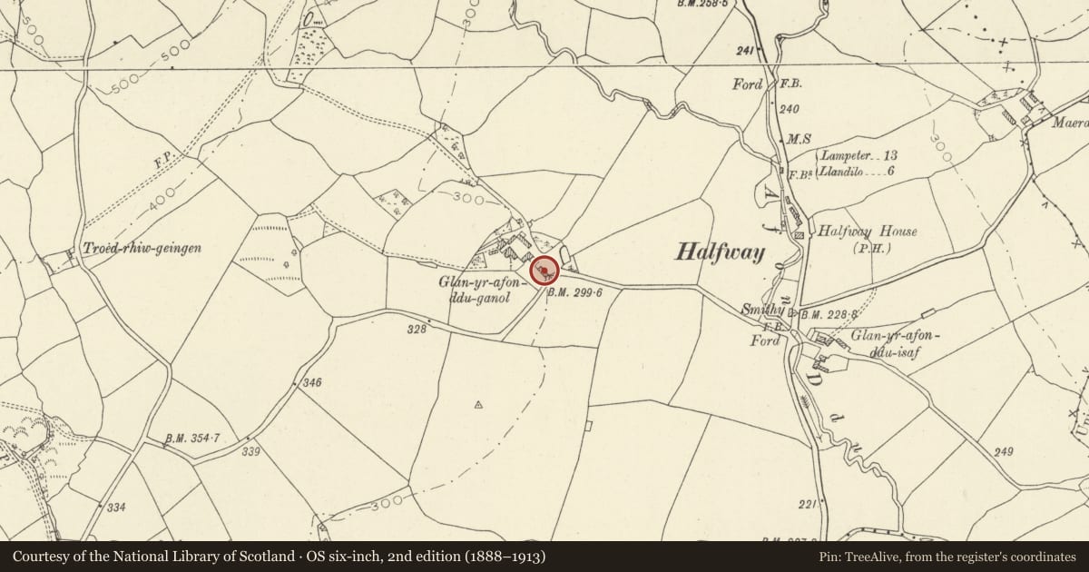 Ordnance Survey six-inch map, 2nd edition (1888–1913) covering the location of Cowhouse to SE. of Glanyravon Ddu Ganol Farmhouse, Talley, Carmarthenshire, with a pin at the register's coordinates