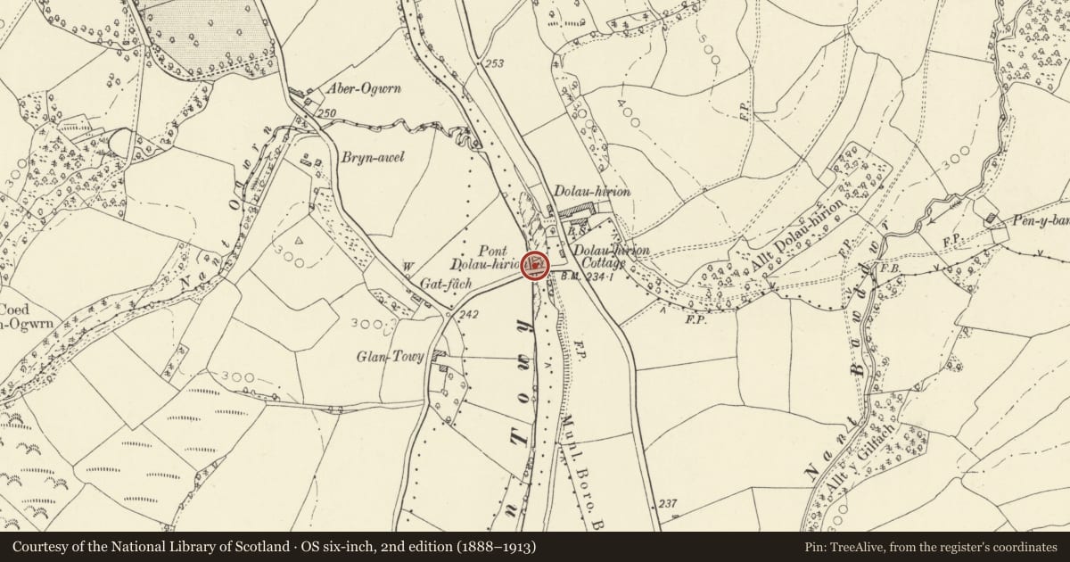 Ordnance Survey six-inch map, 2nd edition (1888–1913) covering the location of Pont Dolauhirion (partly in Cilycwm community), Llandovery, Carmarthenshire, with a pin at the register's coordinates