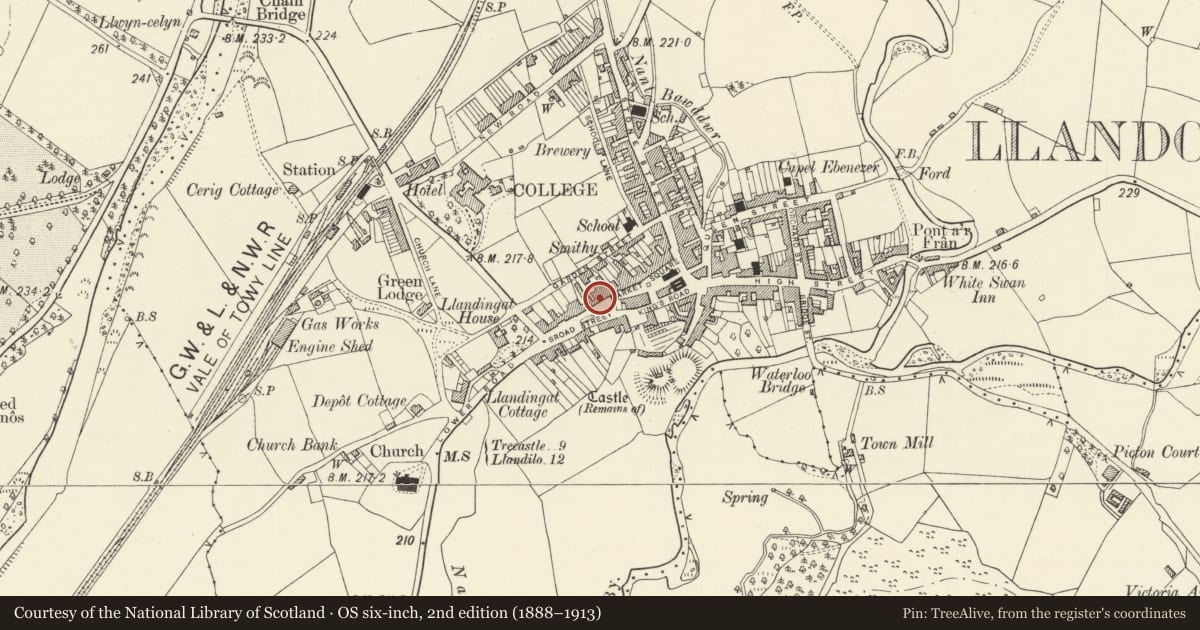 Ordnance Survey six-inch map, 2nd edition (1888–1913) covering the location of Emlyn House, Llandovery, Carmarthenshire, with a pin at the register's coordinates