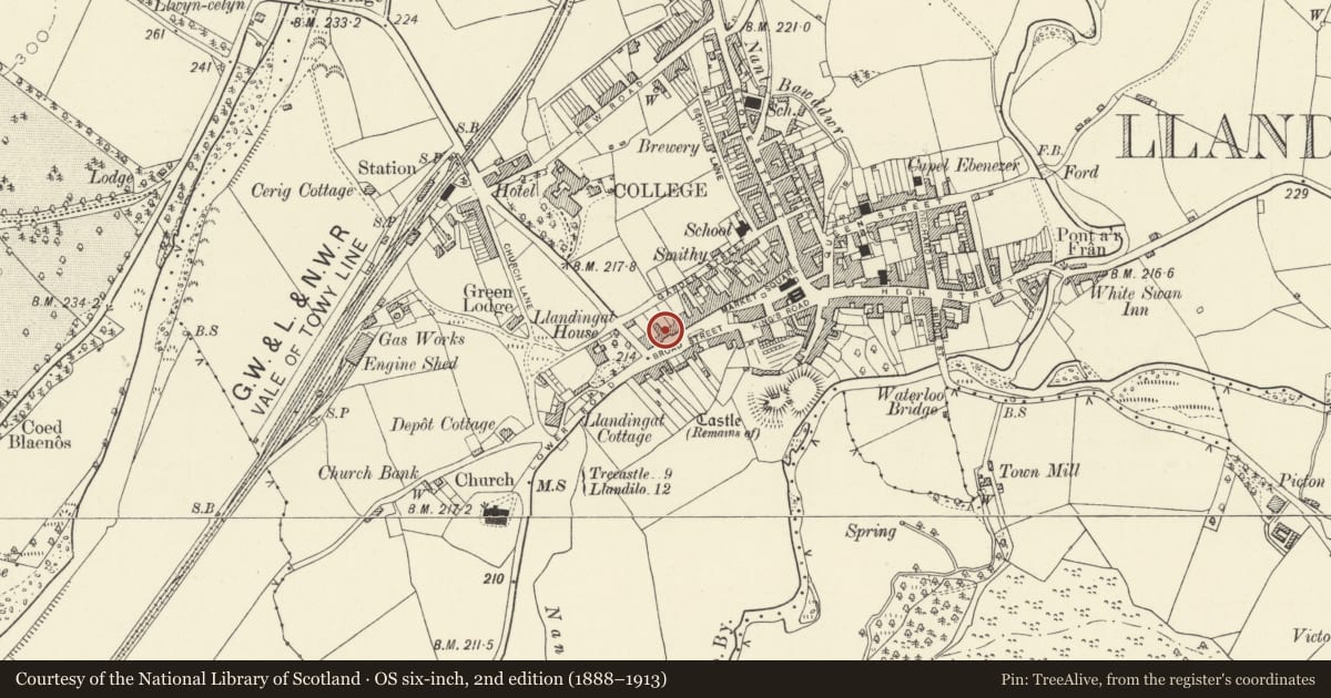 Ordnance Survey six-inch map, 2nd edition (1888–1913) covering the location of Violet Cottage and front railings, Llandovery, Carmarthenshire, with a pin at the register's coordinates