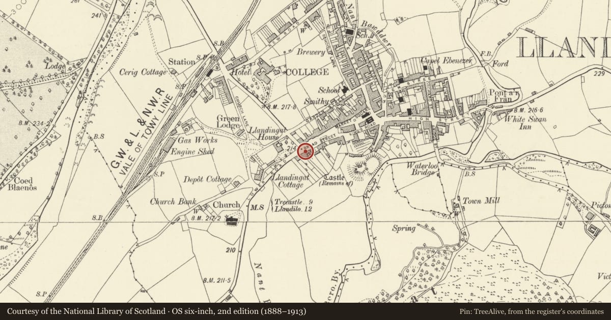 Ordnance Survey six-inch map, 2nd edition (1888–1913) covering the location of Bellevue, Llandovery, Carmarthenshire, with a pin at the register's coordinates