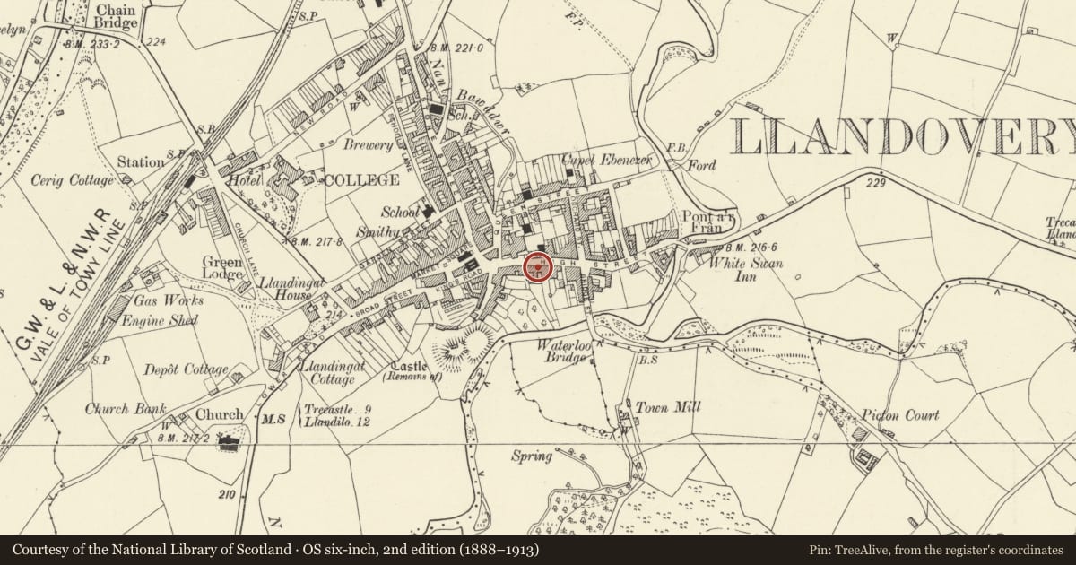 Ordnance Survey six-inch map, 2nd edition (1888–1913) covering the location of Plasdderwen, Llandovery, Carmarthenshire, with a pin at the register's coordinates