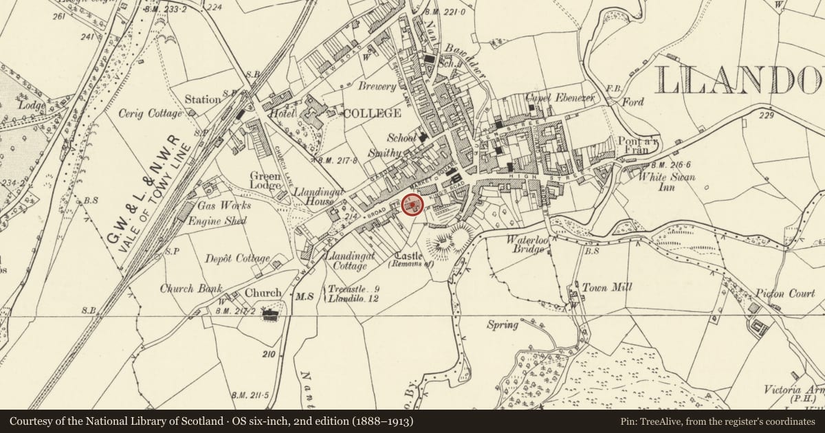 Ordnance Survey six-inch map, 2nd edition (1888–1913) covering the location of Castle Hotel, Llandovery, Carmarthenshire, with a pin at the register's coordinates