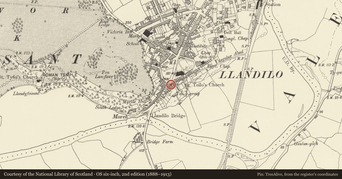 Ordnance Survey six-inch map, 2nd edition (1888–1913) covering the location of Waterloo Villa, Llandeilo, Carmarthenshire, with a pin at the register's coordinates