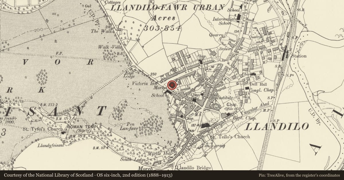 Ordnance Survey six-inch map, 2nd edition (1888–1913) covering the location of Former Provision Market (Premisies of Brockington & Scott LTD), Llandeilo, Carmarthenshire, with a pin at the register's coordinates