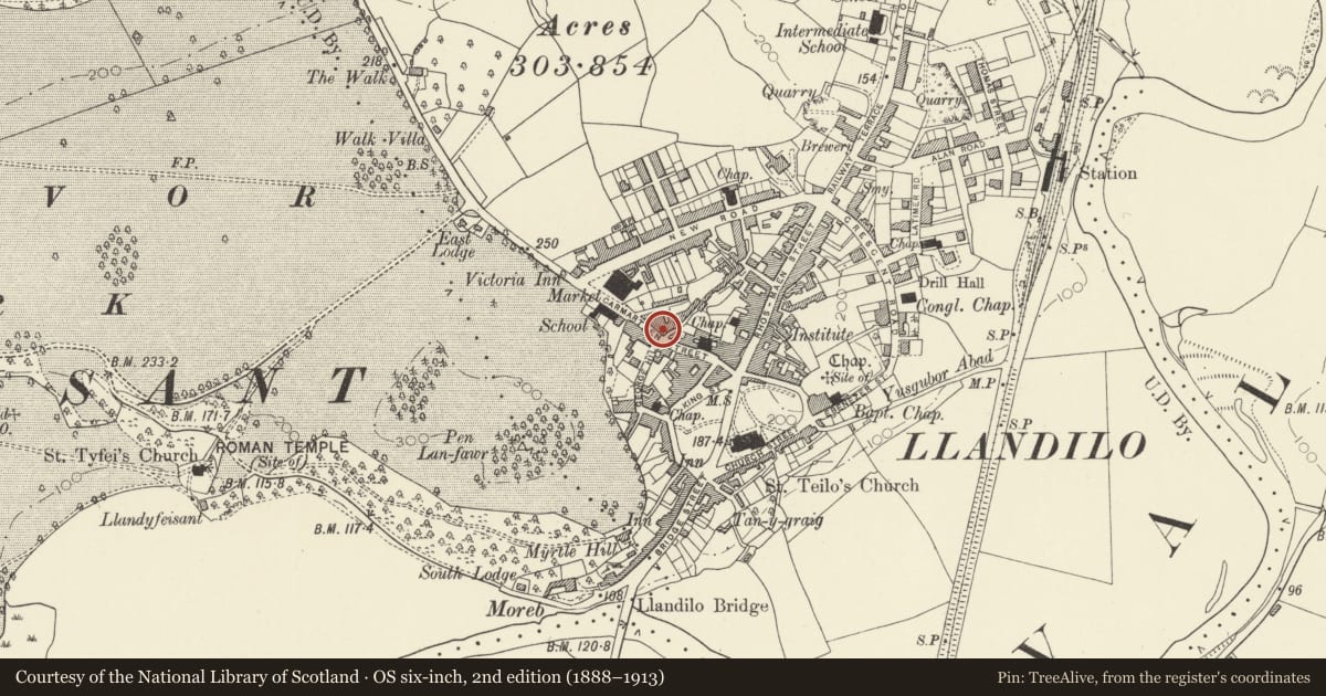Ordnance Survey six-inch map, 2nd edition (1888–1913) covering the location of Cambrian House, Llandeilo, Carmarthenshire, with a pin at the register's coordinates