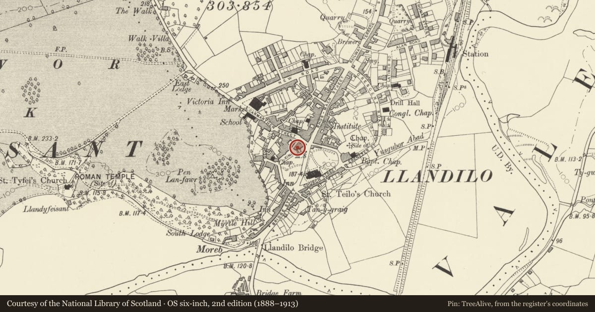 Ordnance Survey six-inch map, 2nd edition (1888–1913) covering the location of Premisies of Llewellyn Humphrey's, Chartered Surveyor & Estate Agents, Llandeilo, Carmarthenshire, with a pin at the register's coordinates