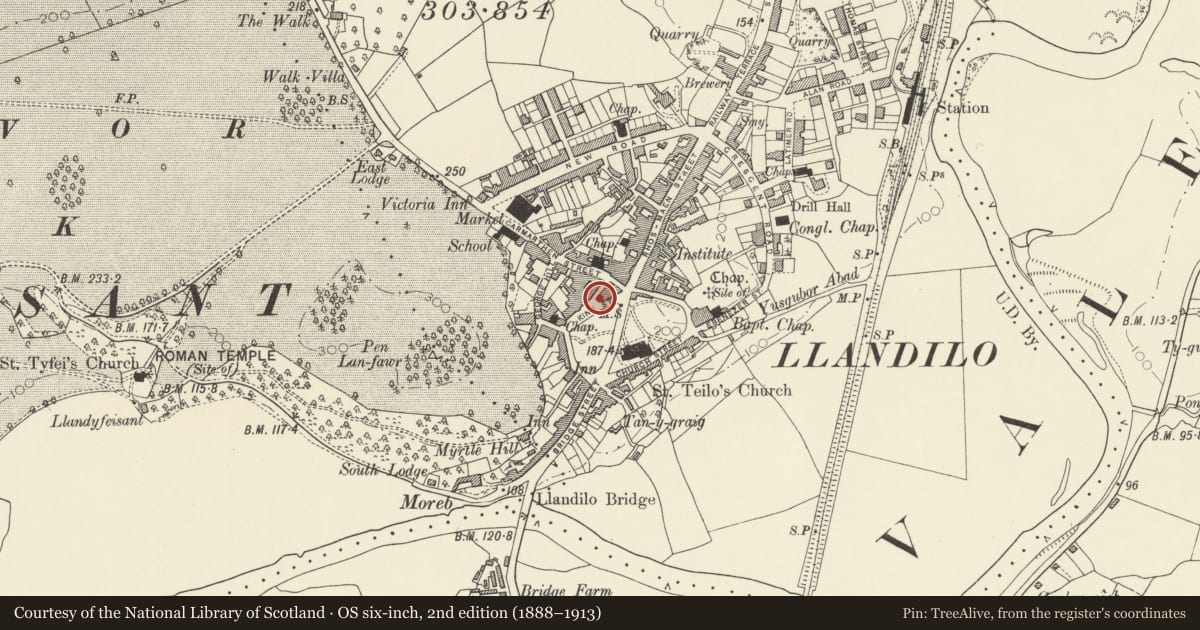 Ordnance Survey six-inch map, 2nd edition (1888–1913) covering the location of Cafe Royale, Llandeilo, Carmarthenshire, with a pin at the register's coordinates