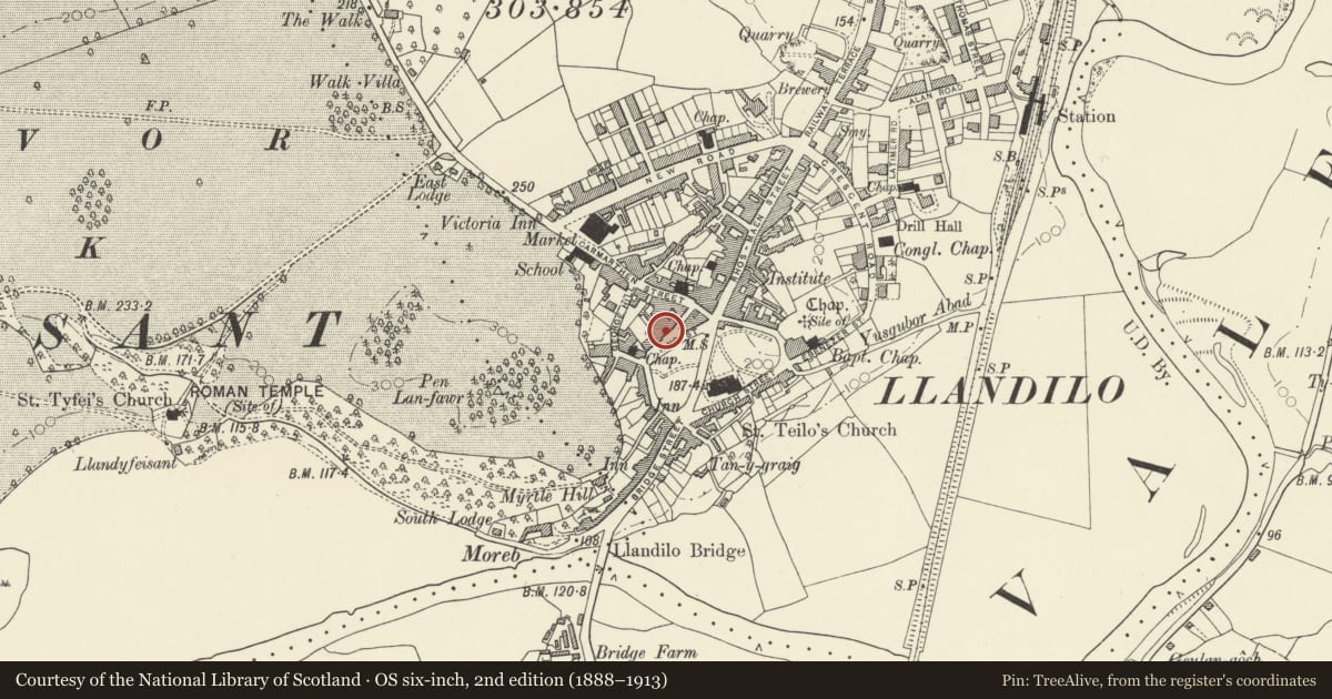Ordnance Survey six-inch map, 2nd edition (1888–1913) covering the location of Peppercorn, Llandeilo, Carmarthenshire, with a pin at the register's coordinates