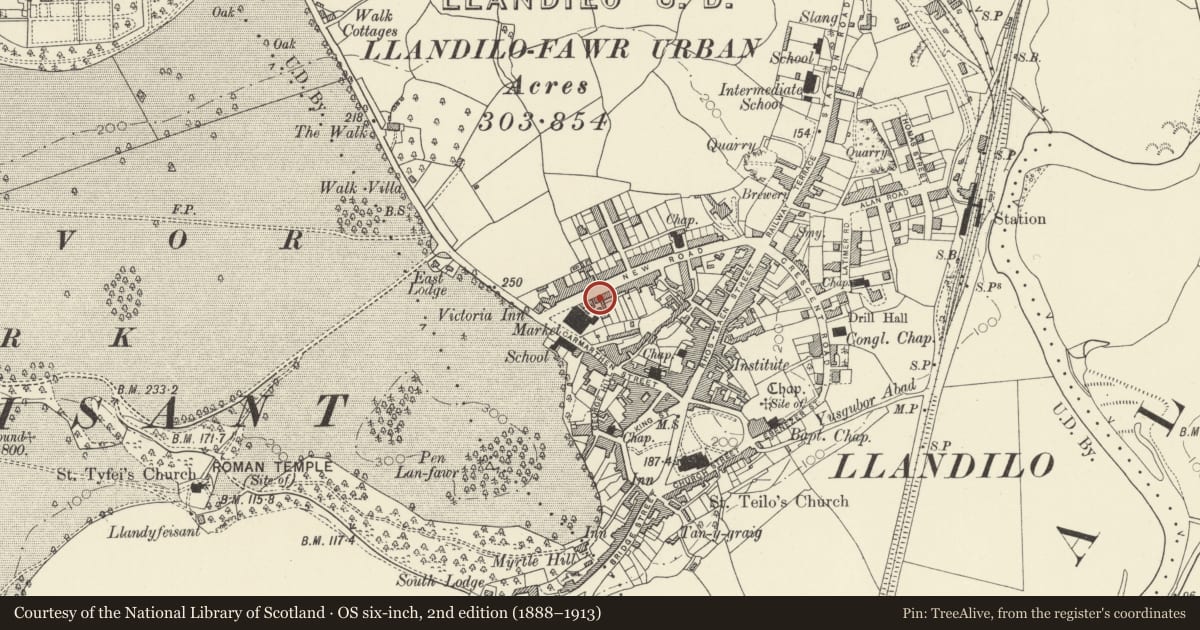 Ordnance Survey six-inch map, 2nd edition (1888–1913) covering the location of The Salutation Inn, Llandeilo, Carmarthenshire, with a pin at the register's coordinates
