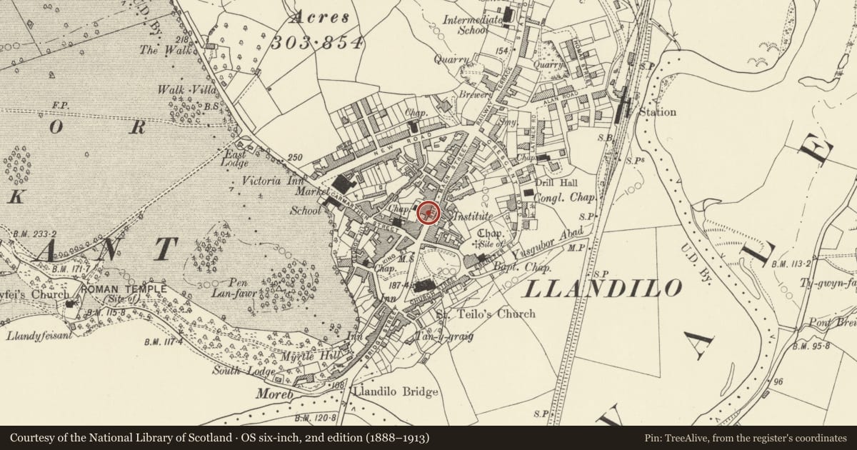 Ordnance Survey six-inch map, 2nd edition (1888–1913) covering the location of John Francis Chartered Auctioneers, Walter James & Son Estate and Insurance Agency, Llandeilo, Carmarthenshire, with a pin at the register's coordinates