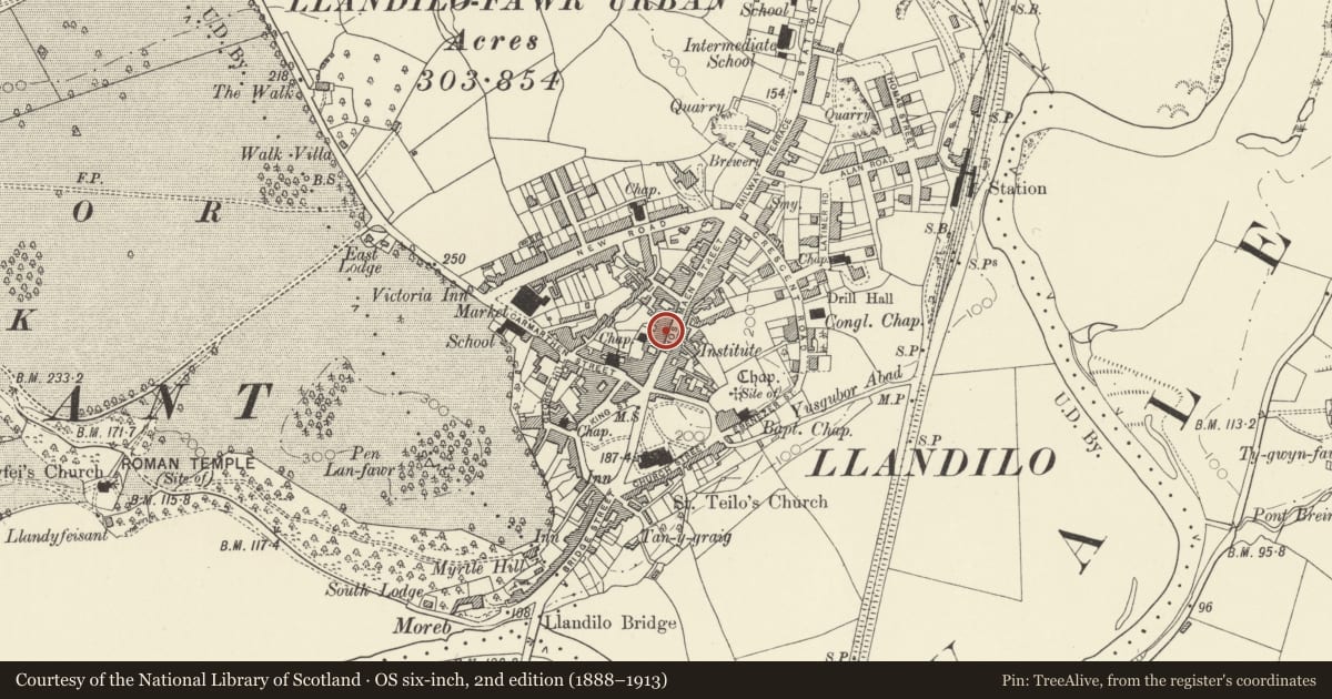 Ordnance Survey six-inch map, 2nd edition (1888–1913) covering the location of Snifters, Llandeilo, Carmarthenshire, with a pin at the register's coordinates