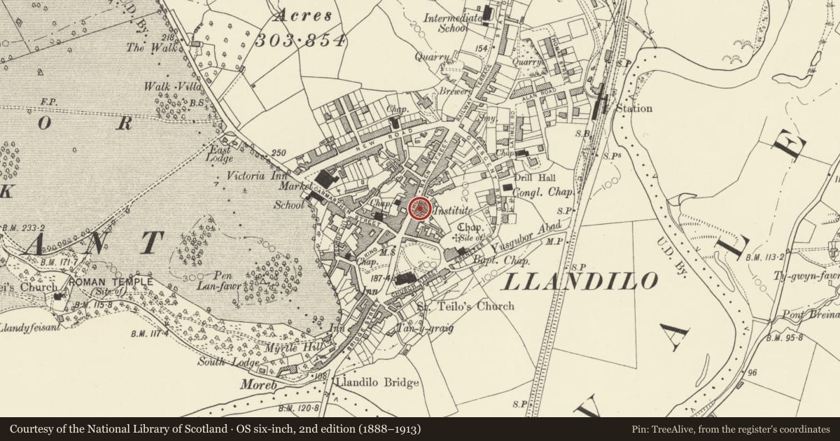 Ordnance Survey six-inch map, 2nd edition (1888–1913) covering the location of Dyfed County Council Social Services Department, Llandeilo, Carmarthenshire, with a pin at the register's coordinates