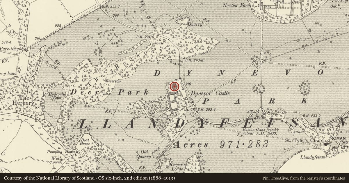 Ordnance Survey six-inch map, 2nd edition (1888–1913) covering the location of Plas Dinefwr, including SW Screen wall, Llandeilo, Carmarthenshire, with a pin at the register's coordinates