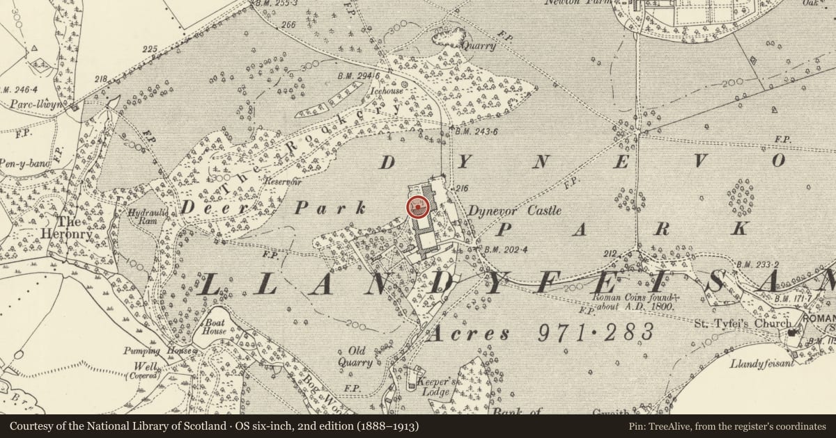 Ordnance Survey six-inch map, 2nd edition (1888–1913) covering the location of Summerhouse at Plas Dinefwr, Llandeilo, Carmarthenshire, with a pin at the register's coordinates