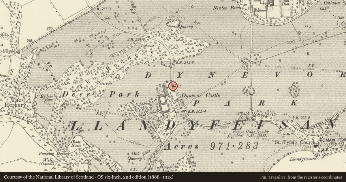 Ordnance Survey six-inch map, 2nd edition (1888–1913) covering the location of Low Stone Walls & Gates to Ha-Ha surrounding Plas Dinefwr, Llandeilo, Carmarthenshire, with a pin at the register's coordinates