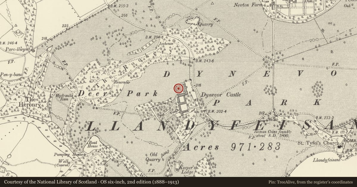 Ordnance Survey six-inch map, 2nd edition (1888–1913) covering the location of Fountain in Centre of terraced garden on W side of Plas Dinefwr, Llandeilo, Carmarthenshire, with a pin at the register's coordinates