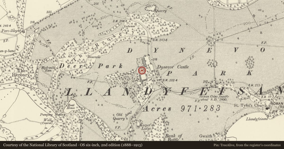 Ordnance Survey six-inch map, 2nd edition (1888–1913) covering the location of Inner Courtyard Ranges at Dynevor Castel (Newton House), Llandeilo, Carmarthenshire, with a pin at the register's coordinates