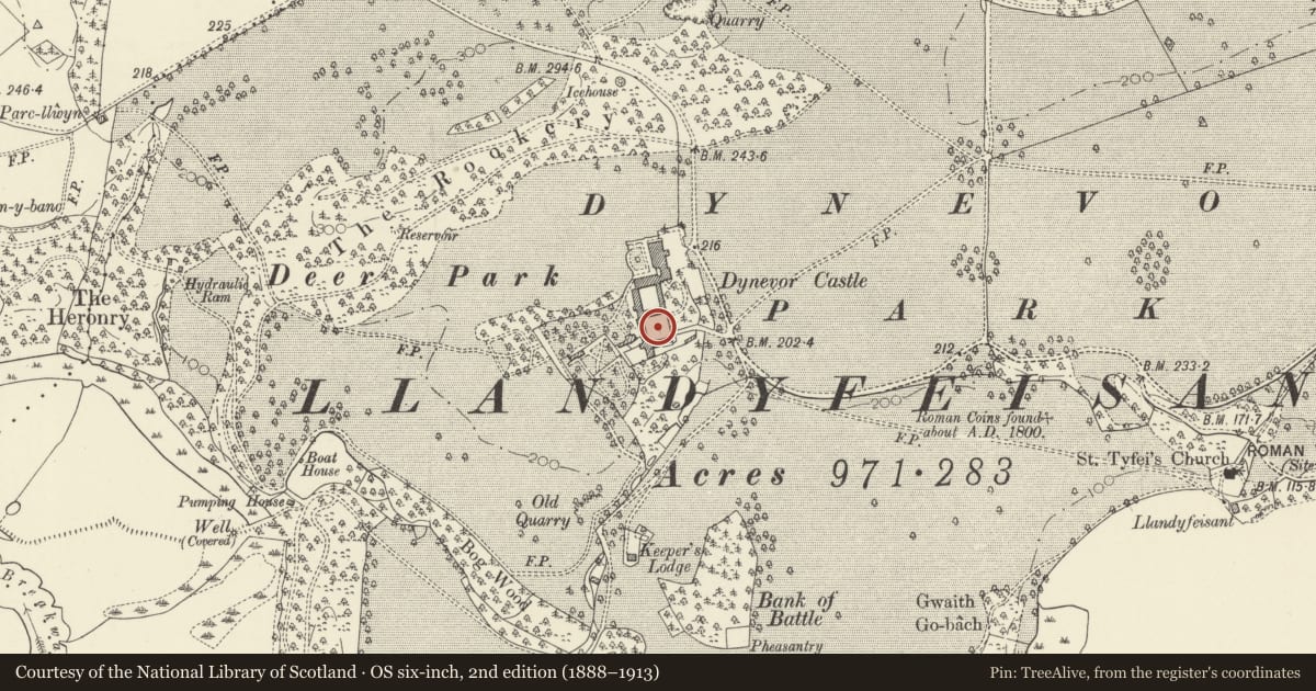 Ordnance Survey six-inch map, 2nd edition (1888–1913) covering the location of Outer Courtyard Ranges at Dynevor Castle (Newton House), Llandeilo, Carmarthenshire, with a pin at the register's coordinates