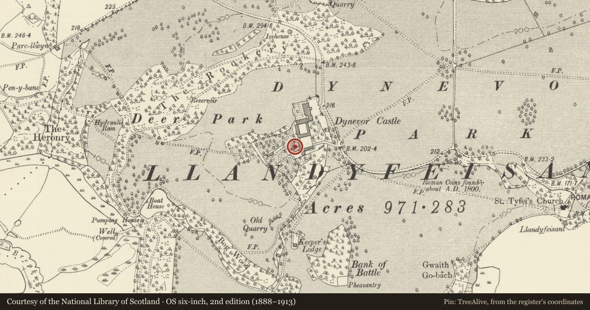 Ordnance Survey six-inch map, 2nd edition (1888–1913) covering the location of Dairy Cottage at Dynevor Castle (Newton House), Llandeilo, Carmarthenshire, with a pin at the register's coordinates