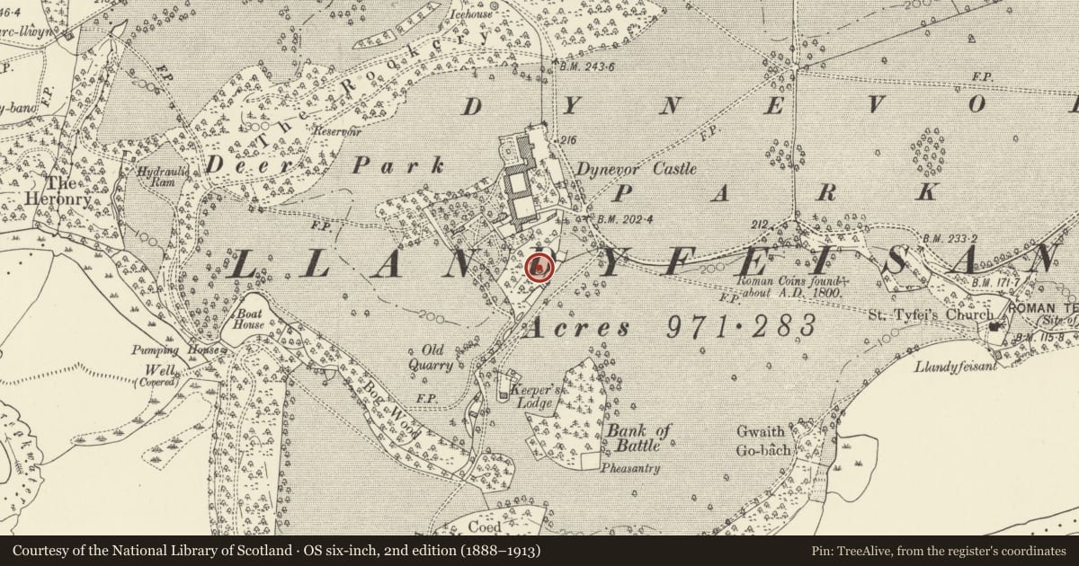 Ordnance Survey six-inch map, 2nd edition (1888–1913) covering the location of Dovecote to S of courtyard ranges at Dynevor Castle (Newton House), Llandeilo, Carmarthenshire, with a pin at the register's coordinates