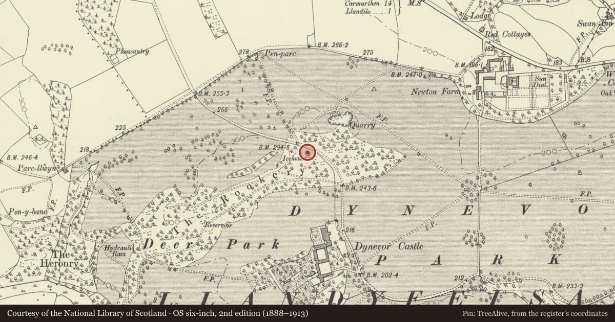 Ordnance Survey six-inch map, 2nd edition (1888–1913) covering the location of Ice House to the N.of Dynevor Castle (Newton House), Llandeilo, Carmarthenshire, with a pin at the register's coordinates