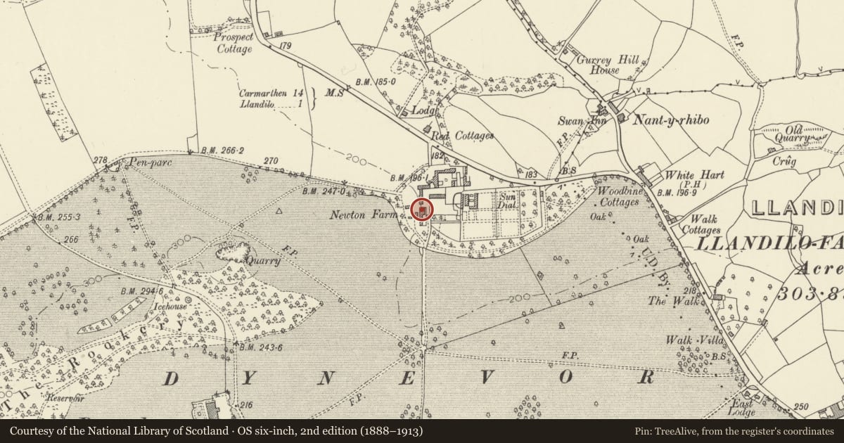 Ordnance Survey six-inch map, 2nd edition (1888–1913) covering the location of Dynevor Home Farmhouse (formerly Newton Farmhouse), Llandeilo, Carmarthenshire, with a pin at the register's coordinates