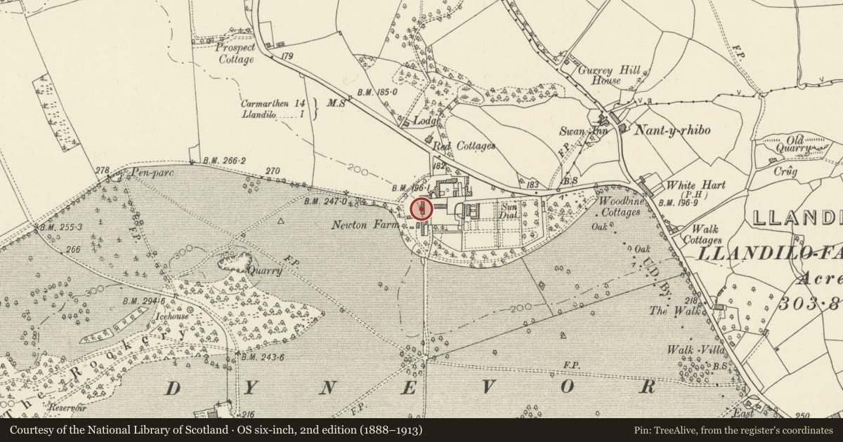 Ordnance Survey six-inch map, 2nd edition (1888–1913) covering the location of Corn Barn to N of Dynevor Home Farmhouse, Llandeilo, Carmarthenshire, with a pin at the register's coordinates